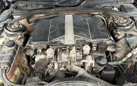 Mercedes-Benz S-Класс, 1999 год, 200 000 рублей, 2 фотография