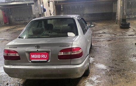 Toyota Corolla, 1997 год, 150 000 рублей, 3 фотография