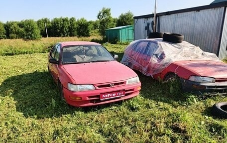 Toyota Corolla, 1995 год, 60 000 рублей, 1 фотография
