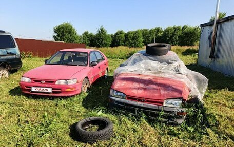 Toyota Corolla, 1995 год, 60 000 рублей, 2 фотография