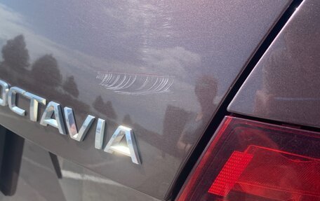 Skoda Octavia, 2017 год, 2 000 000 рублей, 5 фотография