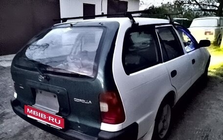 Toyota Corolla, 1999 год, 275 000 рублей, 5 фотография