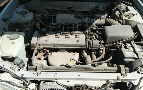 Toyota Sprinter VIII (E110), 1999 год, 330 000 рублей, 3 фотография