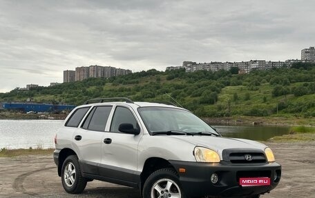 Hyundai Santa Fe III рестайлинг, 2003 год, 315 000 рублей, 1 фотография