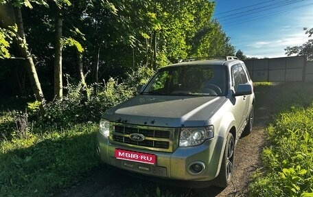 Ford Escape II, 2010 год, 670 000 рублей, 1 фотография