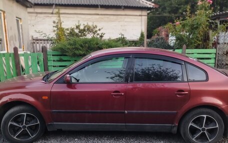 Volkswagen Passat B5+ рестайлинг, 1997 год, 450 000 рублей, 6 фотография