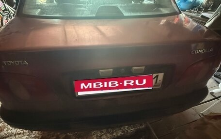Toyota Corolla, 1998 год, 49 000 рублей, 5 фотография