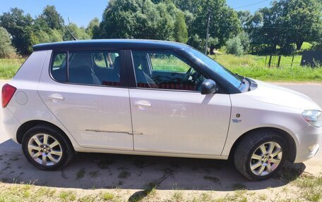 Skoda Fabia II, 2013 год, 750 000 рублей, 16 фотография