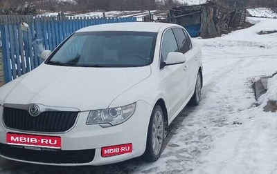 Skoda Superb III рестайлинг, 2010 год, 850 000 рублей, 1 фотография