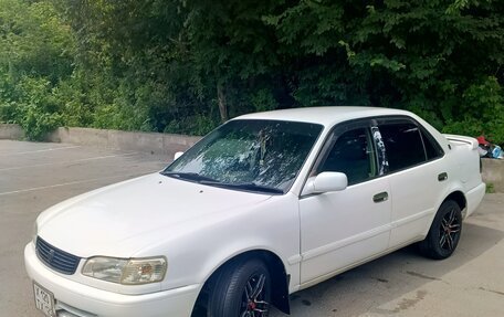 Toyota Corolla, 1999 год, 439 999 рублей, 3 фотография