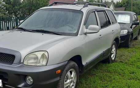 Hyundai Santa Fe III рестайлинг, 2004 год, 555 000 рублей, 3 фотография
