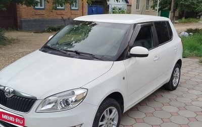 Skoda Fabia II, 2013 год, 480 000 рублей, 1 фотография