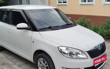 Skoda Fabia II, 2013 год, 480 000 рублей, 2 фотография