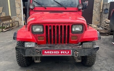 Jeep Wrangler, 1993 год, 950 000 рублей, 1 фотография