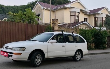 Toyota Corolla, 1996 год, 295 000 рублей, 1 фотография