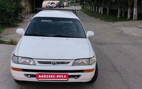 Toyota Corolla, 1996 год, 295 000 рублей, 2 фотография