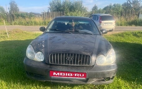 Hyundai Sonata IV рестайлинг, 2004 год, 6 фотография