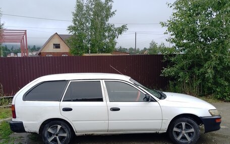 Toyota Corolla, 1998 год, 230 000 рублей, 6 фотография