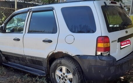 Ford Escape II, 2006 год, 260 000 рублей, 1 фотография