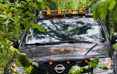 Nissan Navara (Frontier), 2008 год, 1 150 000 рублей, 1 фотография
