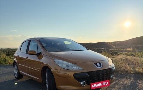 Peugeot 307 I, 2006 год, 350 000 рублей, 1 фотография