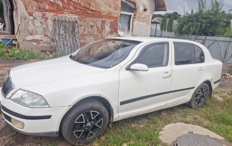 Skoda Octavia, 2006 год, 300 000 рублей, 1 фотография
