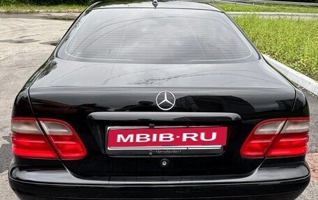Mercedes-Benz CLK-Класс, 2001 год, 600 000 рублей, 6 фотография