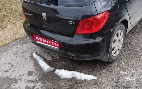 Peugeot 307 I, 2007 год, 470 000 рублей, 3 фотография