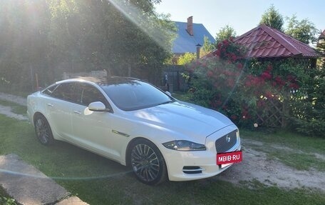 Jaguar XJ IV (X351), 2012 год, 2 100 000 рублей, 4 фотография
