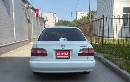Toyota Corolla, 1998 год, 330 000 рублей, 1 фотография