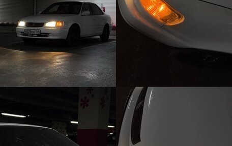 Toyota Corolla, 1998 год, 330 000 рублей, 14 фотография