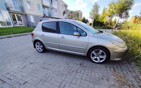 Peugeot 307 I, 2006 год, 580 000 рублей, 6 фотография