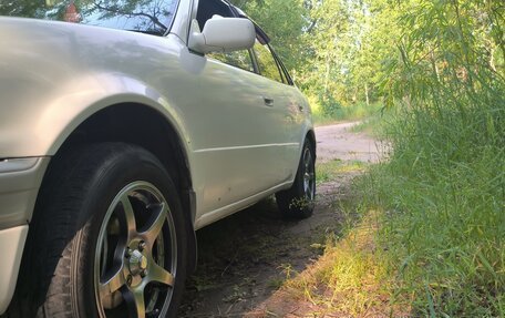 Toyota Corolla, 1996 год, 369 000 рублей, 6 фотография
