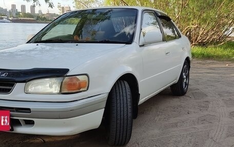 Toyota Corolla, 1996 год, 369 000 рублей, 15 фотография