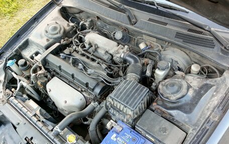 Hyundai Sonata IV рестайлинг, 2007 год, 200 000 рублей, 16 фотография