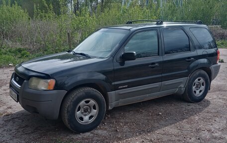 Ford Escape II, 2001 год, 260 000 рублей, 3 фотография