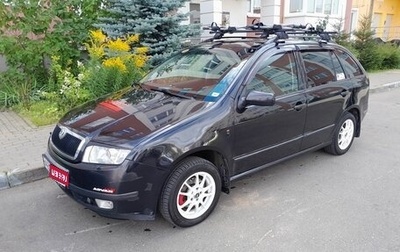 Skoda Fabia I, 2003 год, 300 000 рублей, 1 фотография