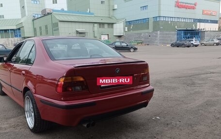 BMW 5 серия, 2002 год, 800 000 рублей, 3 фотография