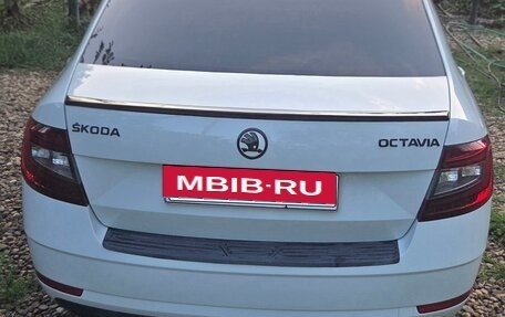 Skoda Octavia, 2017 год, 1 699 999 рублей, 5 фотография