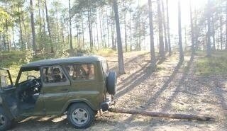 ЛуАЗ 3151, 2005 год, 300 000 рублей, 2 фотография