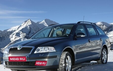 Skoda Octavia, 2007 год, 620 000 рублей, 1 фотография