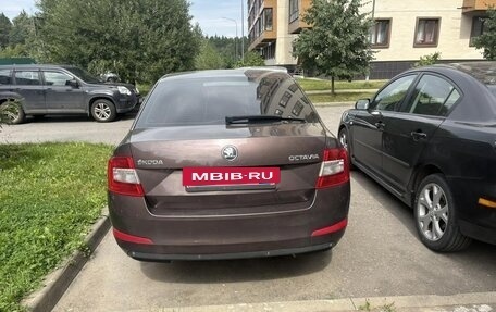 Skoda Octavia, 2013 год, 700 000 рублей, 3 фотография