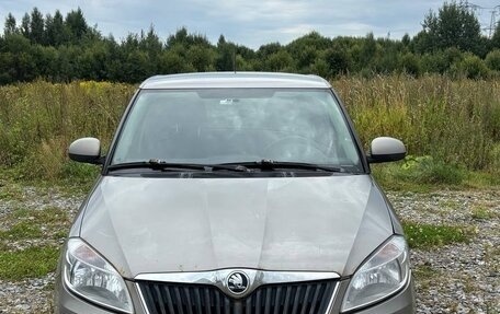 Skoda Fabia II, 2014 год, 290 000 рублей, 1 фотография