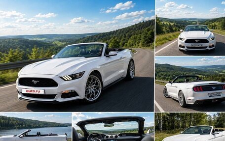 Ford Mustang VI рестайлинг, 2016 год, 2 500 000 рублей, 4 фотография