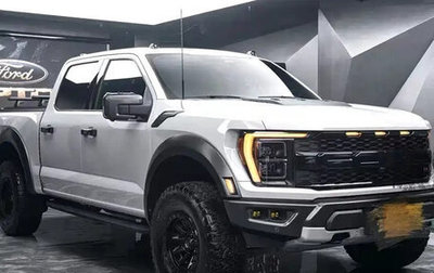 Ford F-150, 2023 год, 14 300 000 рублей, 1 фотография