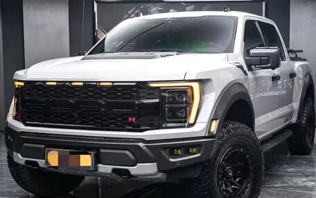 Ford F-150, 2023 год, 14 300 000 рублей, 3 фотография