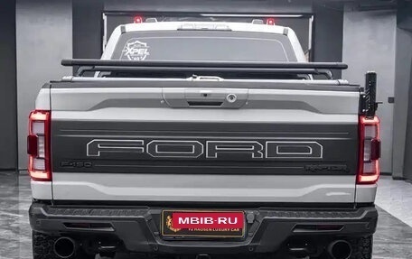Ford F-150, 2023 год, 14 300 000 рублей, 5 фотография