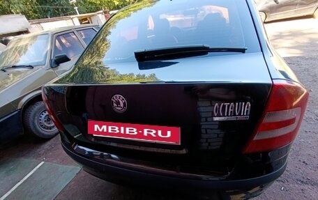 Skoda Octavia, 2008 год, 600 000 рублей, 4 фотография