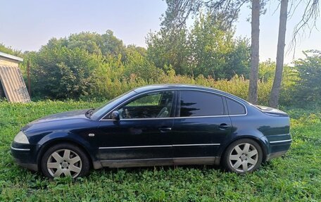 Volkswagen Passat B5+ рестайлинг, 2002 год, 300 000 рублей, 3 фотография