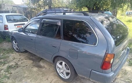 Toyota Corolla, 1995 год, 200 000 рублей, 2 фотография